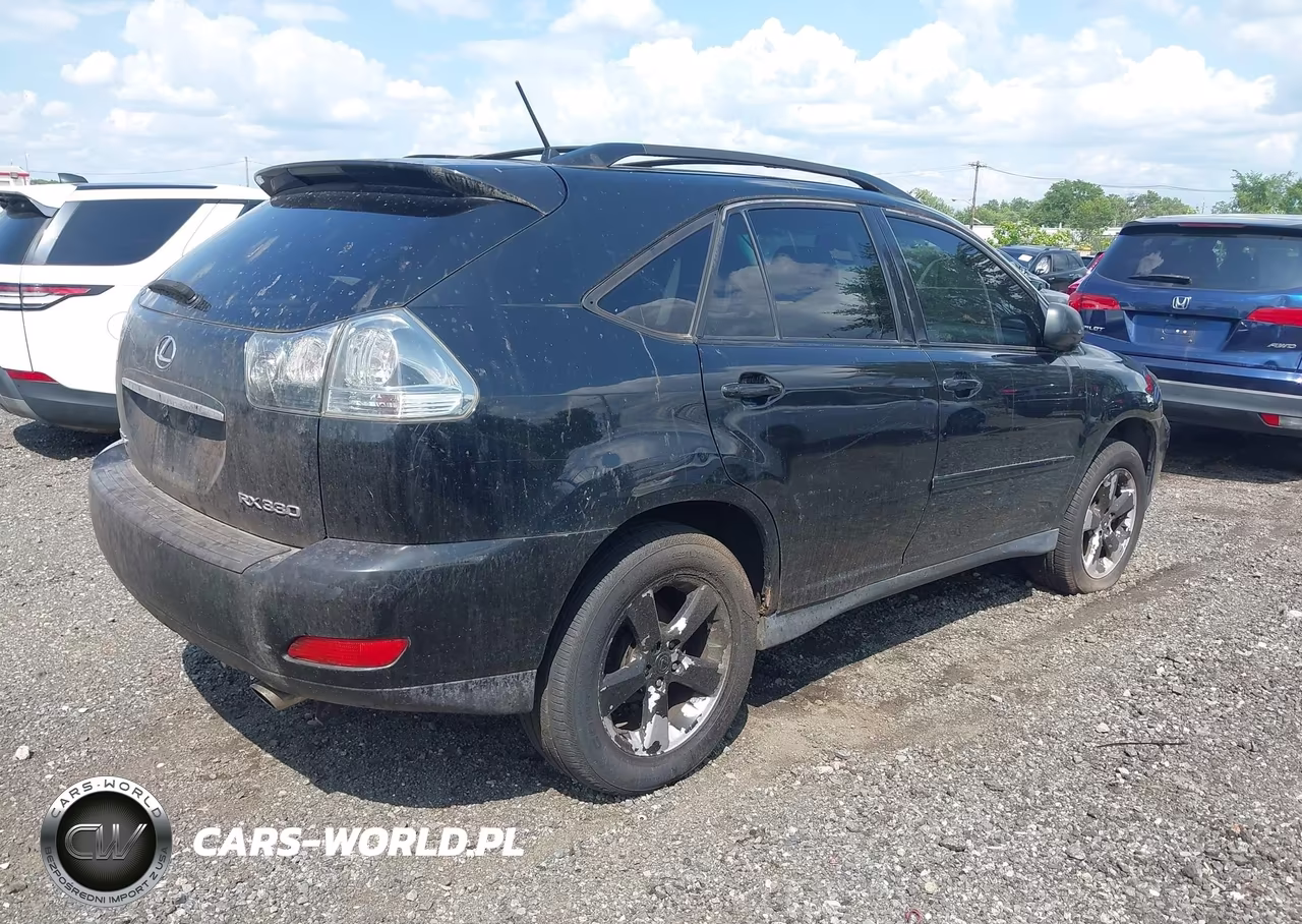 2004 Lexus Rx 330 VIN:JTJGA31U340006070 - 4