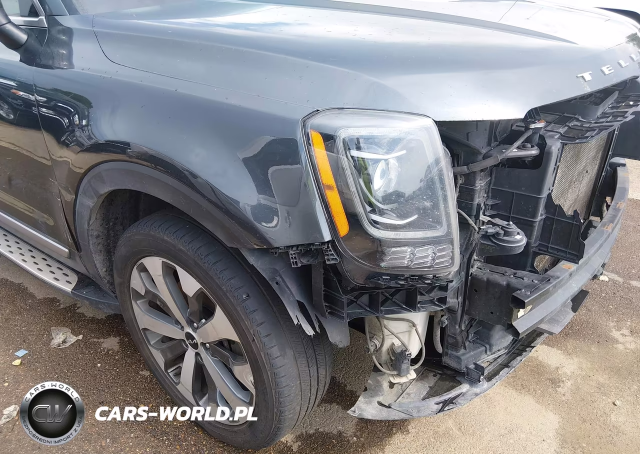 2022 Kia Telluride S VIN:5XYP6DHC0NG296285 - 19