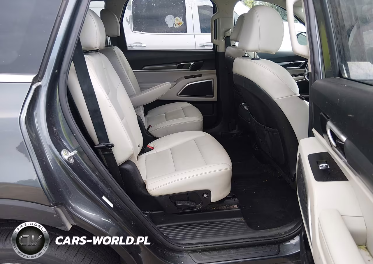 2022 Kia Telluride S VIN:5XYP6DHC0NG296285 - 8