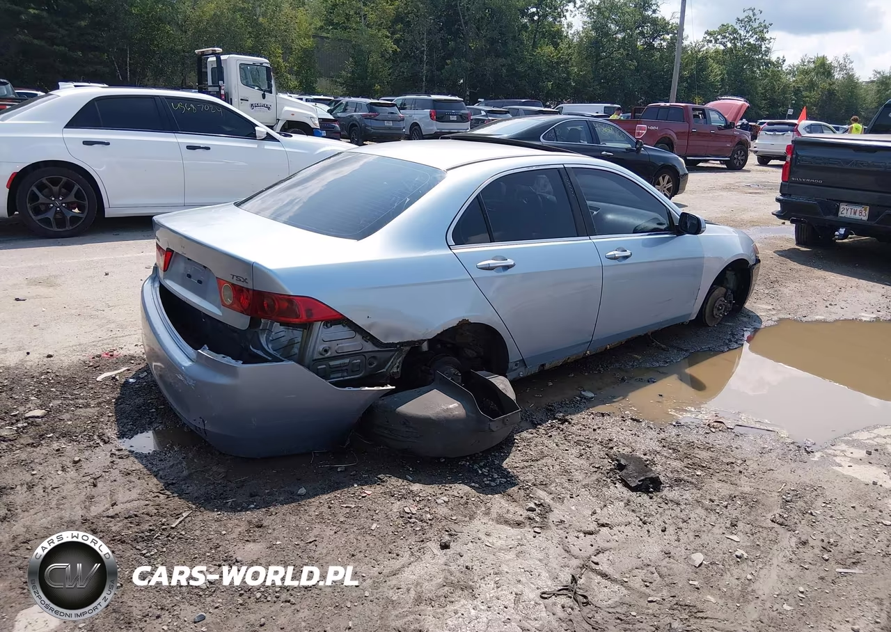 2004 Acura Tsx VIN:JH4CL96904C043934 - 4
