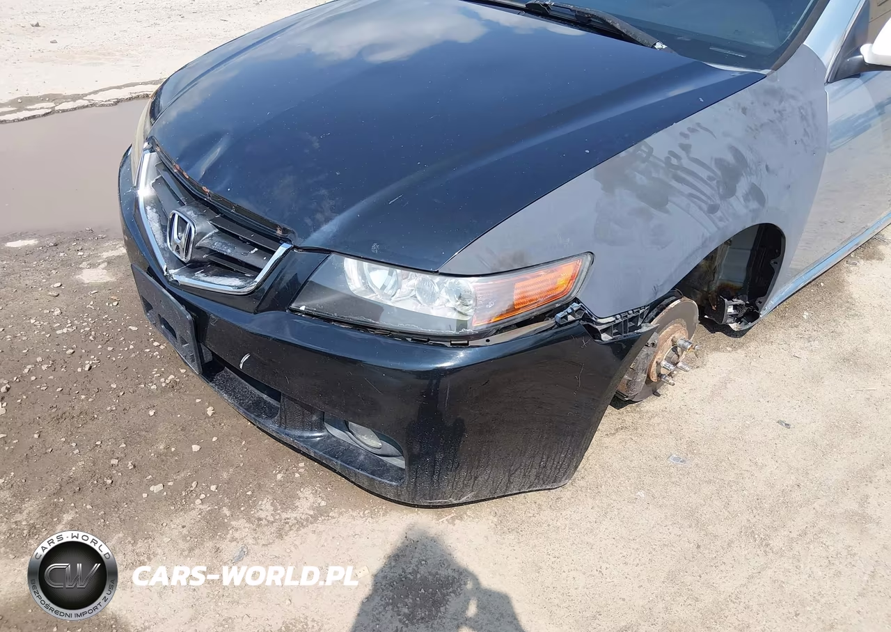 2004 Acura Tsx VIN:JH4CL96904C043934 - 6