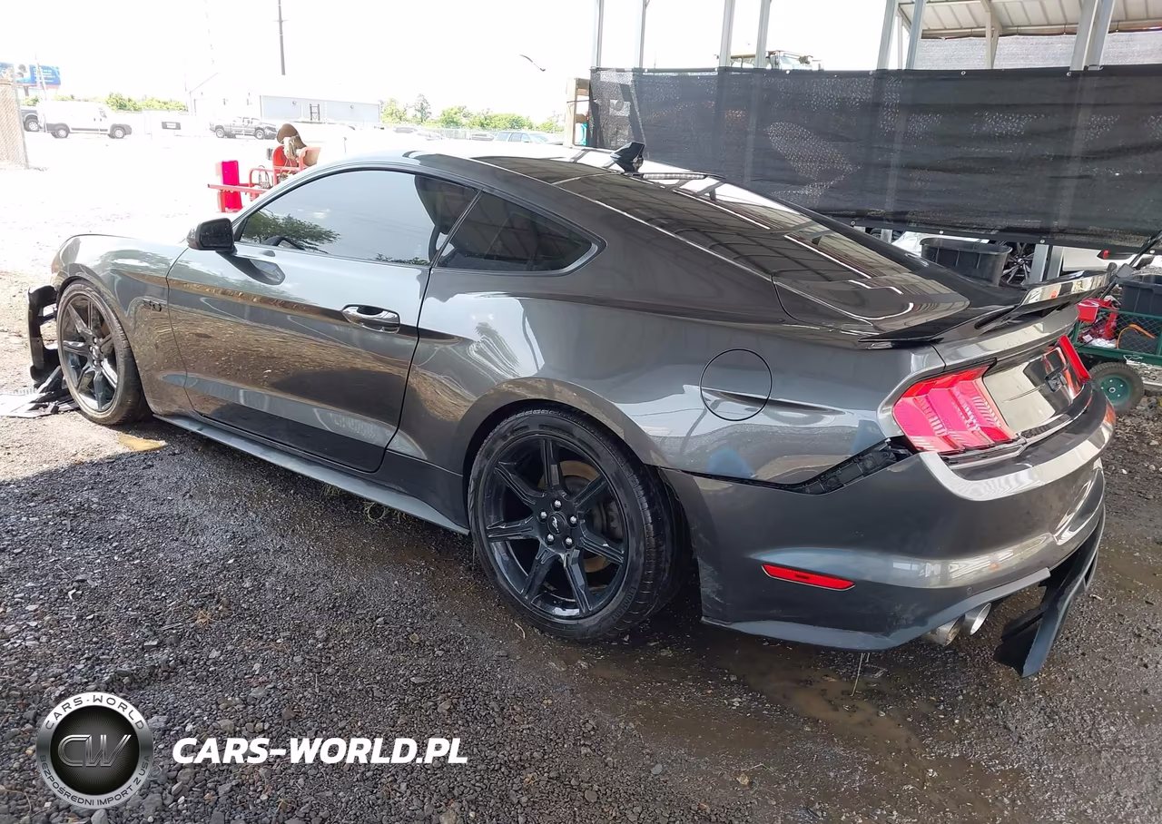 2020 Ford Mustang Gt Fastback VIN:1FA6P8CF9L5185456 - 3