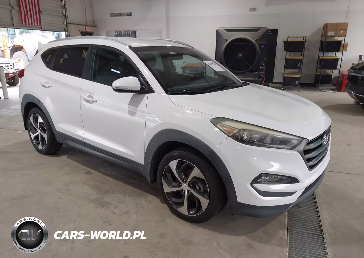 2016 Hyundai Tucson Sport VIN:KM8J33A25GU079161 - 1