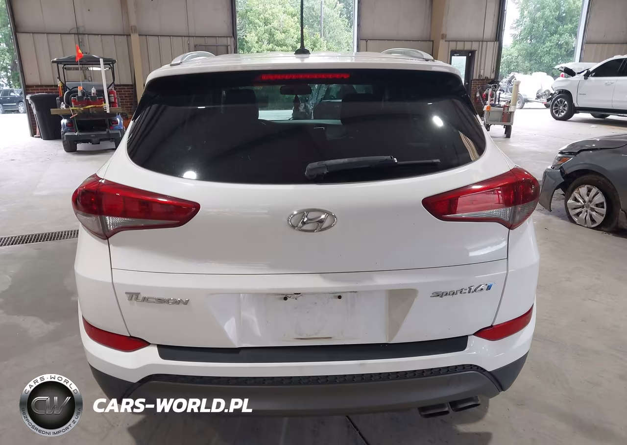 2016 Hyundai Tucson Sport VIN:KM8J33A25GU079161 - 16