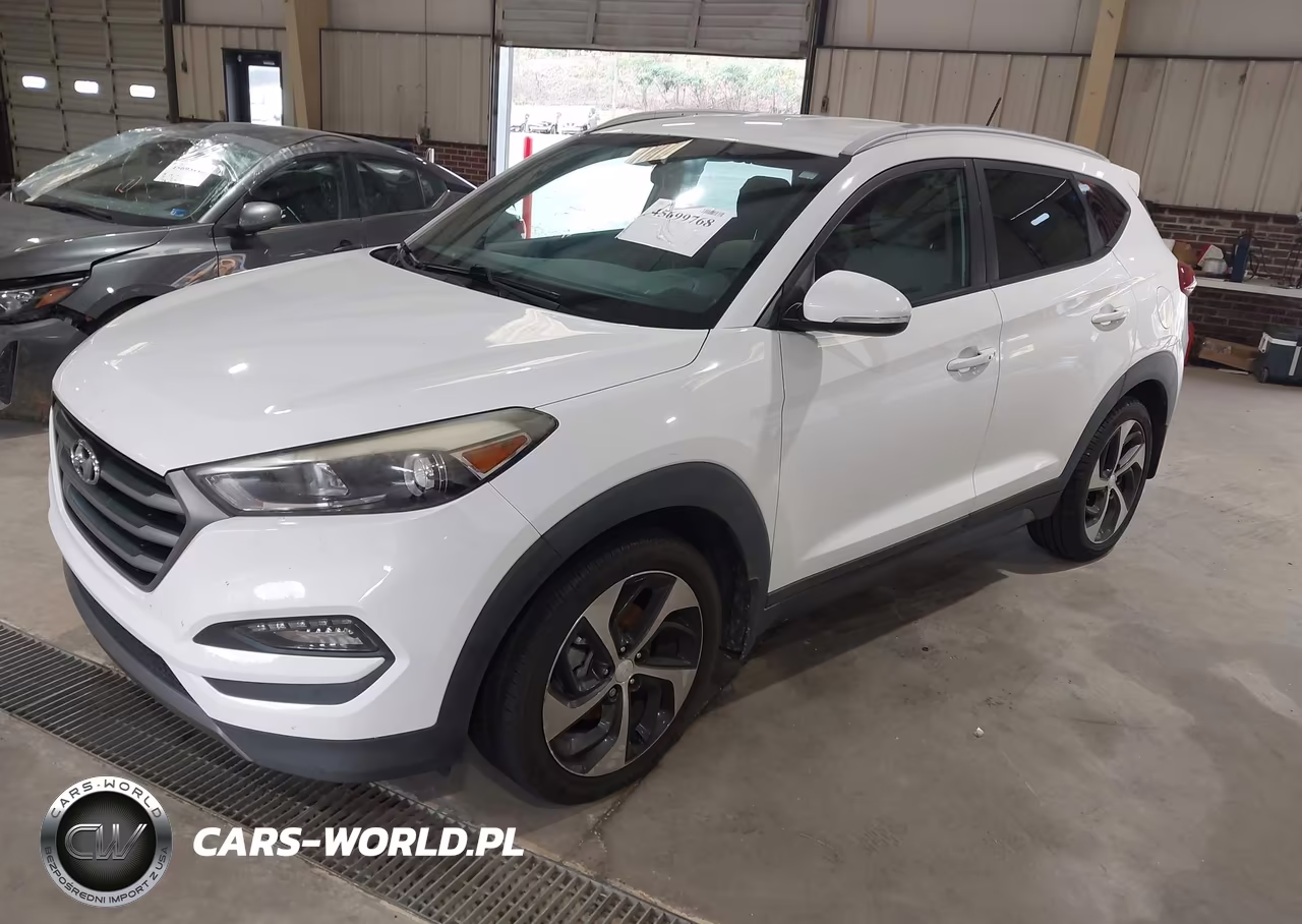 2016 Hyundai Tucson Sport VIN:KM8J33A25GU079161 - 2
