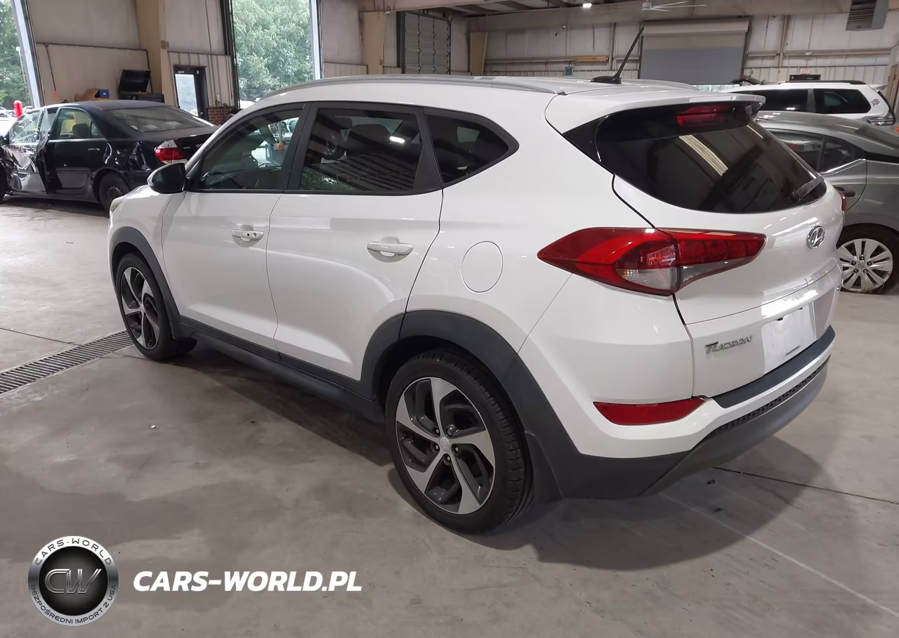 2016 Hyundai Tucson Sport VIN:KM8J33A25GU079161 - 3