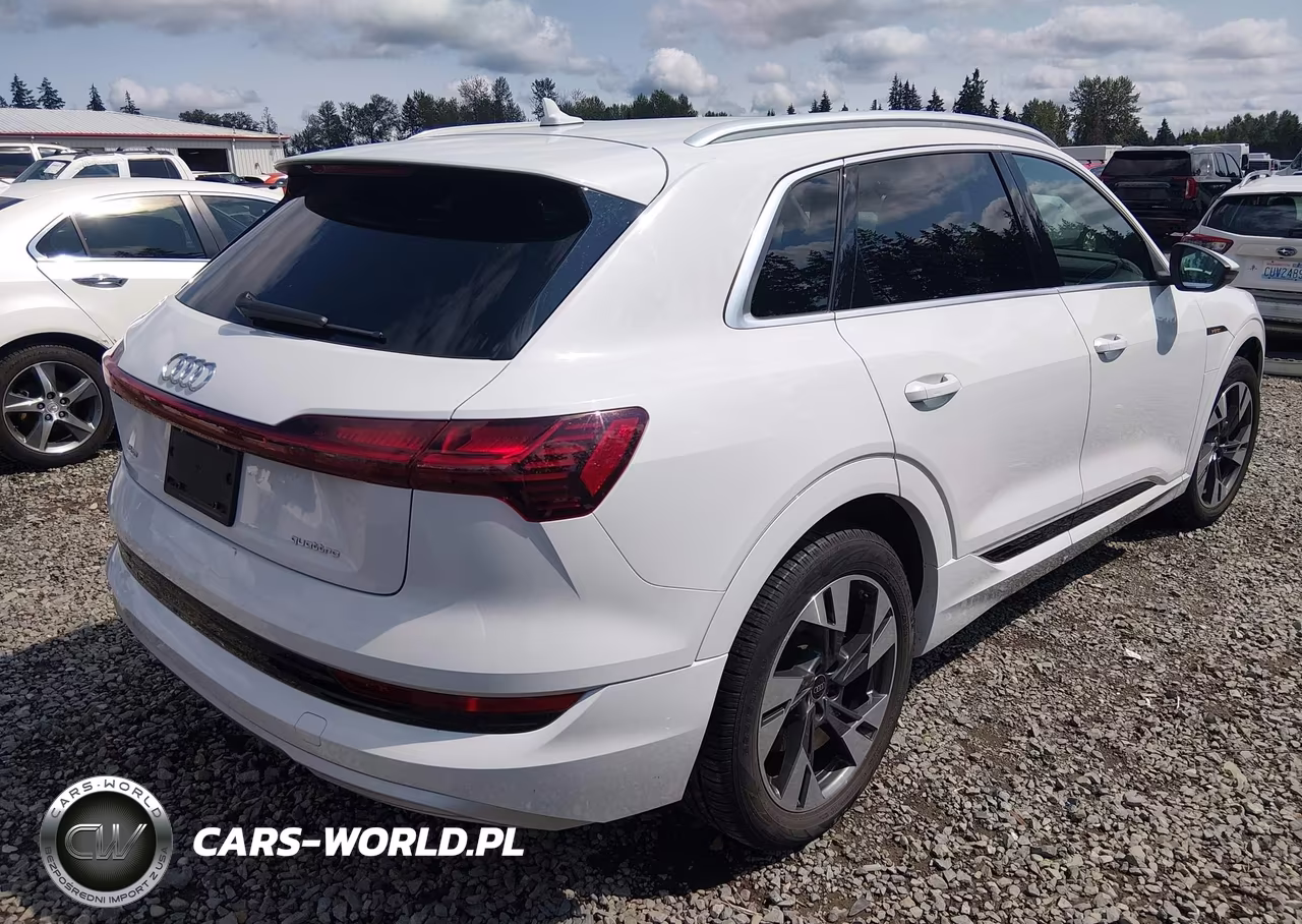 2023 Audi E-Tron Premium Quattro VIN:WA1AAAGE6PB002773 - 4