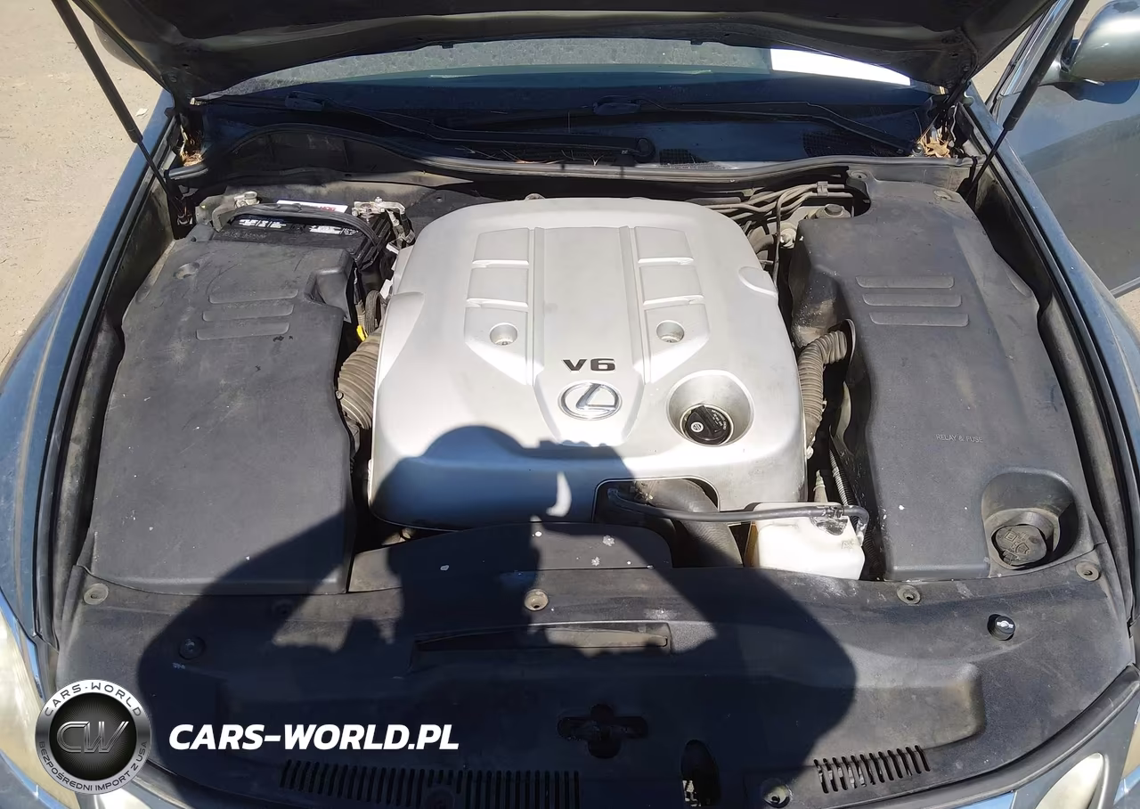 2006 Lexus Gs 300 VIN:JTHBH96S765034171 - 10