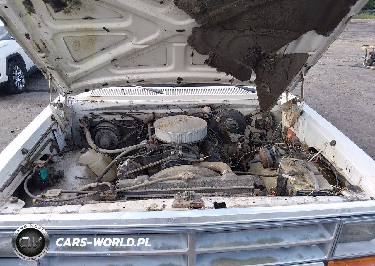 1987 Dodge D-Series D150 VIN:1B7HD14W0HS386284 - 10