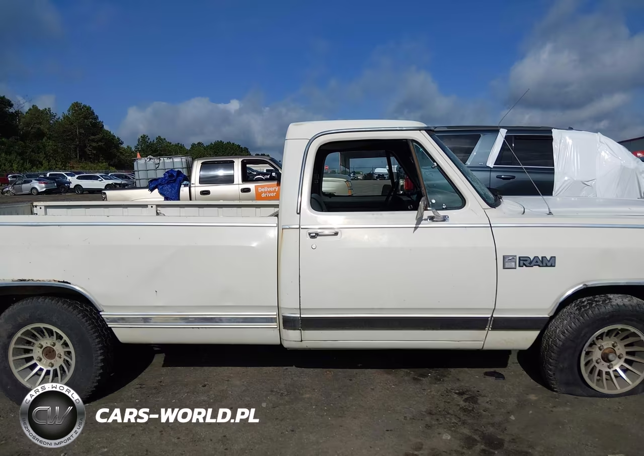 1987 Dodge D-Series D150 VIN:1B7HD14W0HS386284 - 13