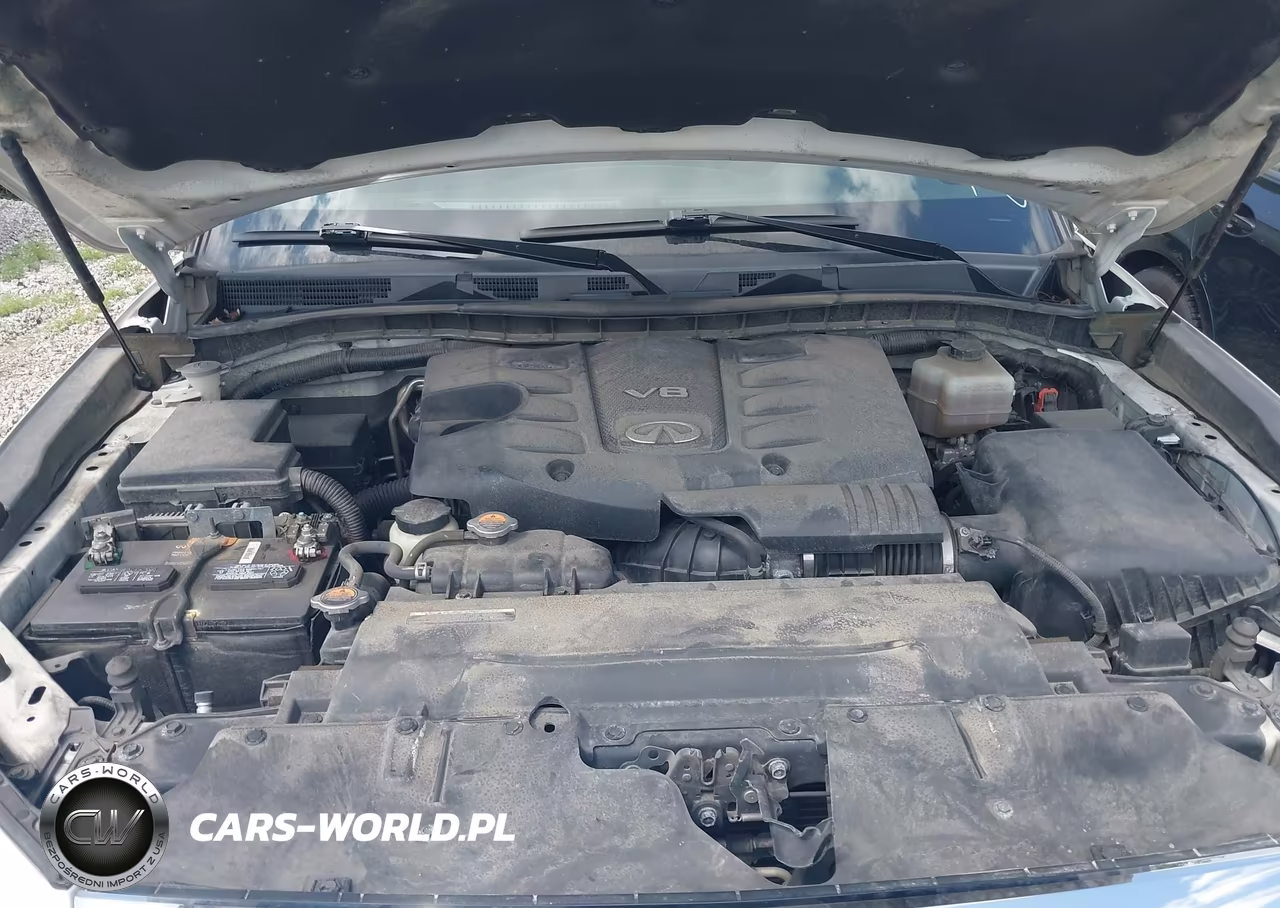 2019 Infiniti Qx80 Luxe VIN:JN8AZ2NE3K9230158 - 10