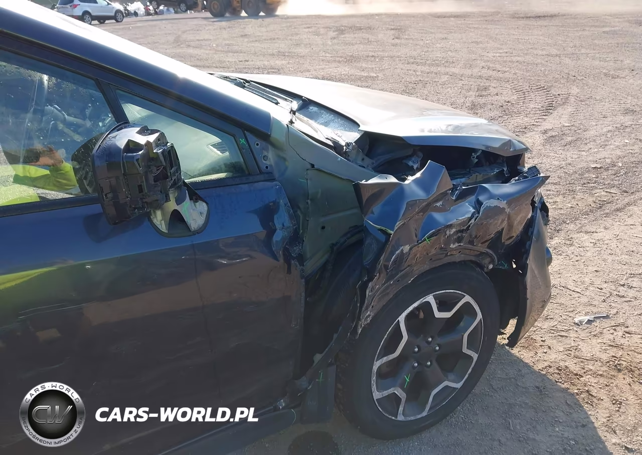 2014 Subaru Xv Crosstrek 2.0I Premium VIN:JF2GPAVC3EH329997 - 18