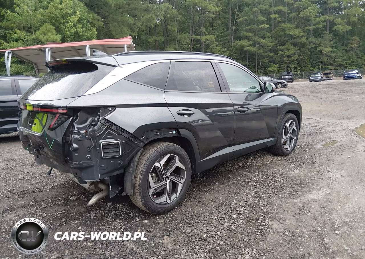 2024 Hyundai Tucson Limited VIN:5NMJE3DE3RH357375 - 4
