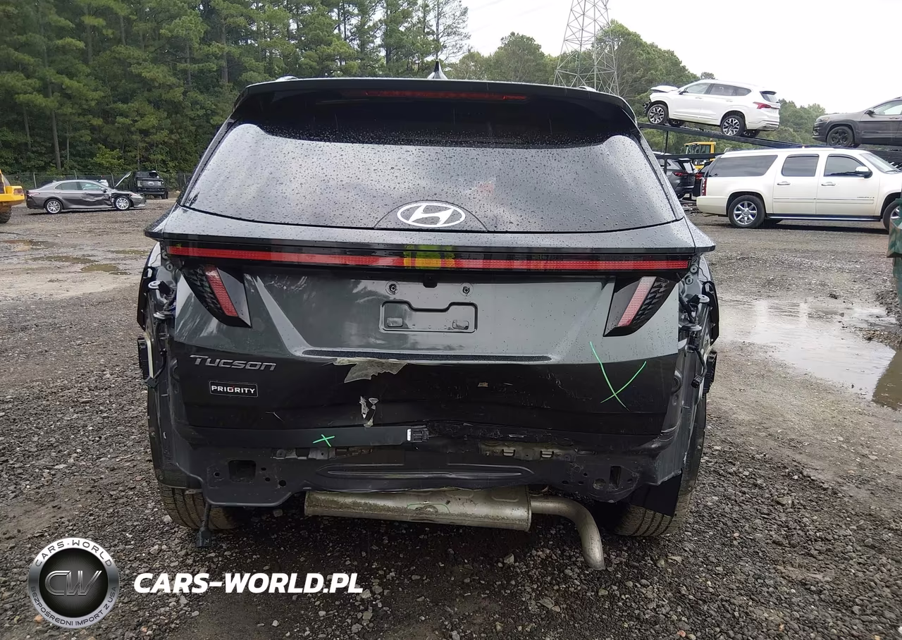 2024 Hyundai Tucson Limited VIN:5NMJE3DE3RH357375 - 6