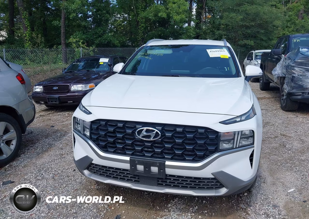 2023 Hyundai Santa Fe Sel VIN:5NMS2DAJ4PH657234 - 12