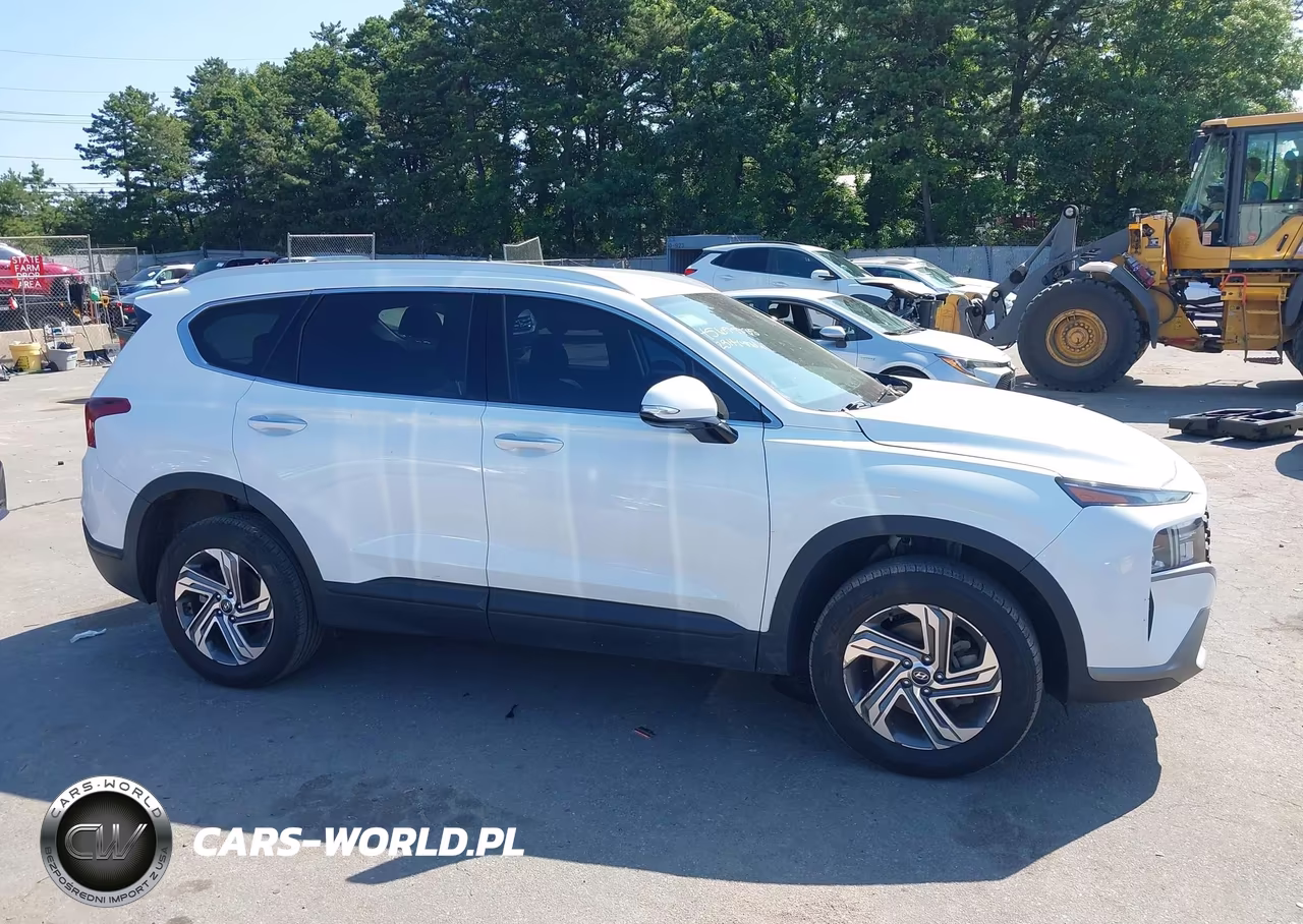 2023 Hyundai Santa Fe Sel VIN:5NMS2DAJ4PH657234 - 13