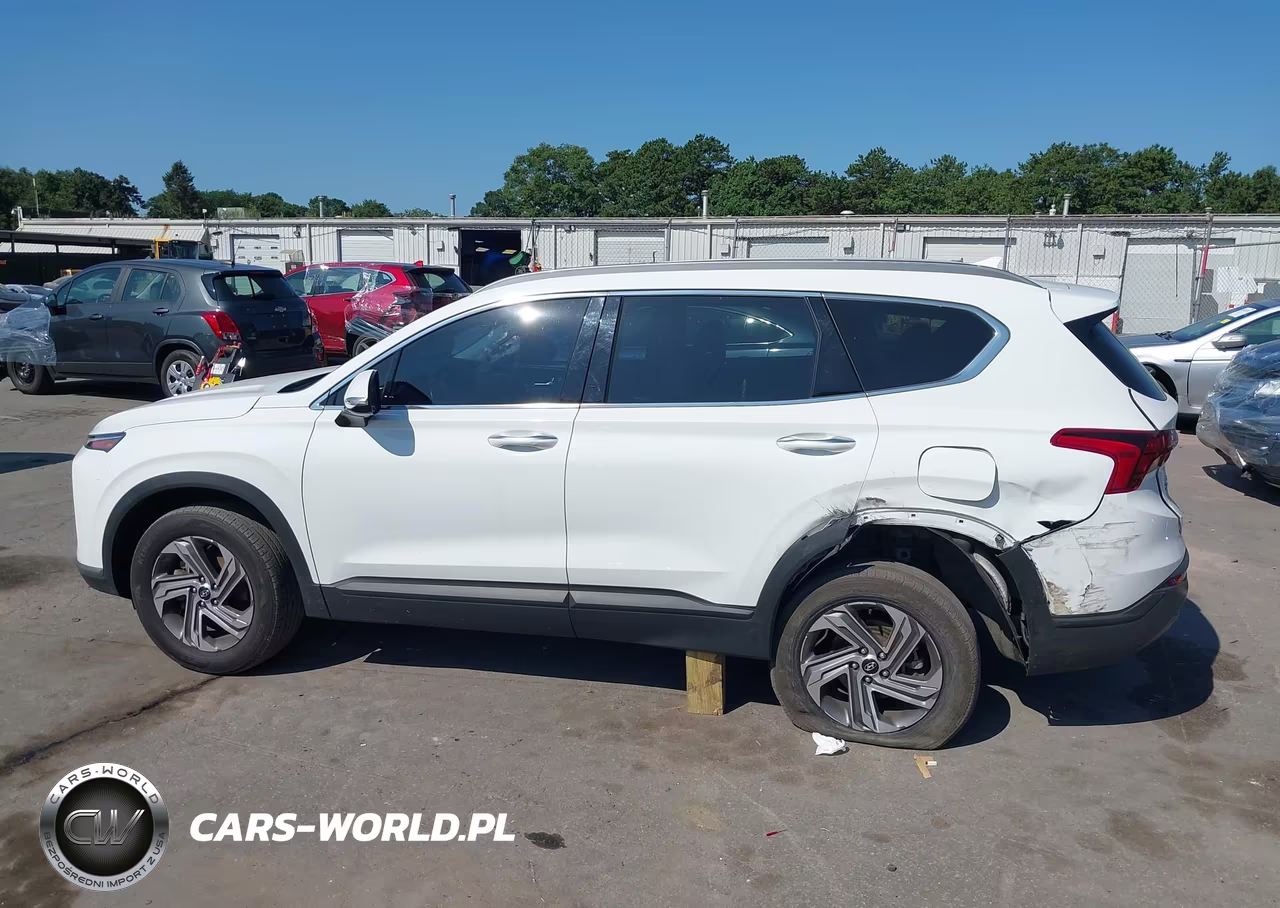 2023 Hyundai Santa Fe Sel VIN:5NMS2DAJ4PH657234 - 14