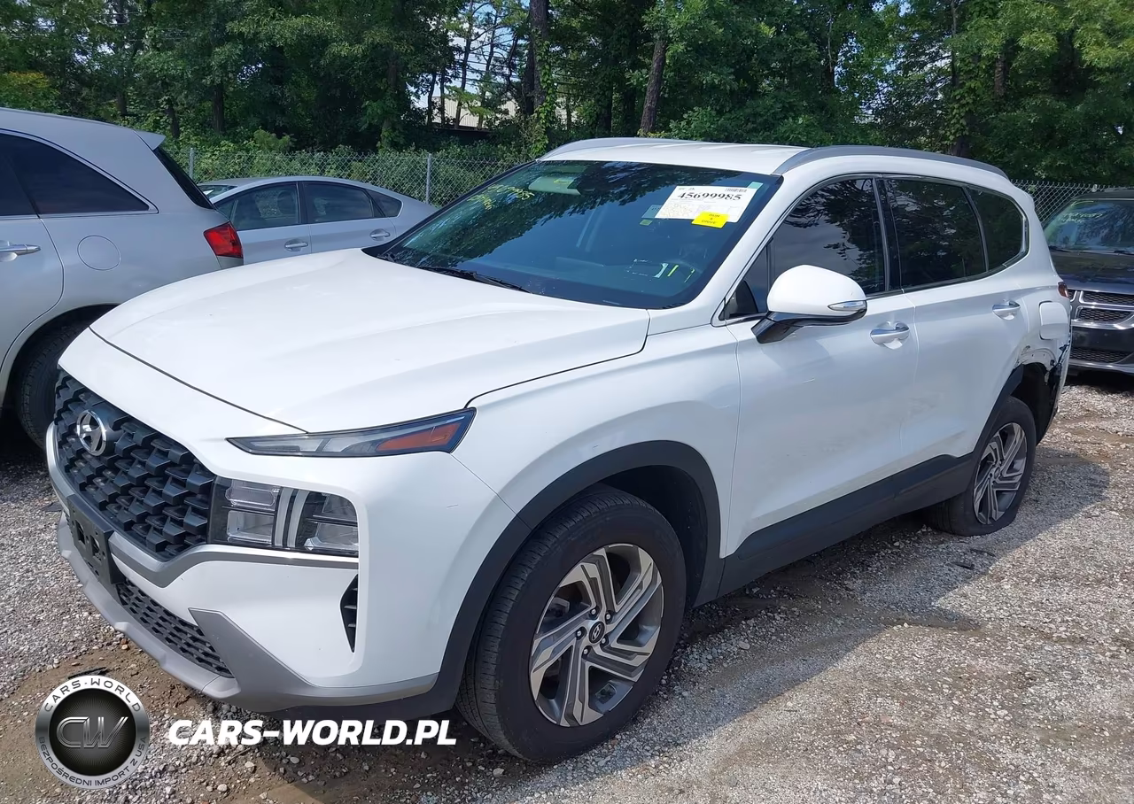 2023 Hyundai Santa Fe Sel VIN:5NMS2DAJ4PH657234 - 2