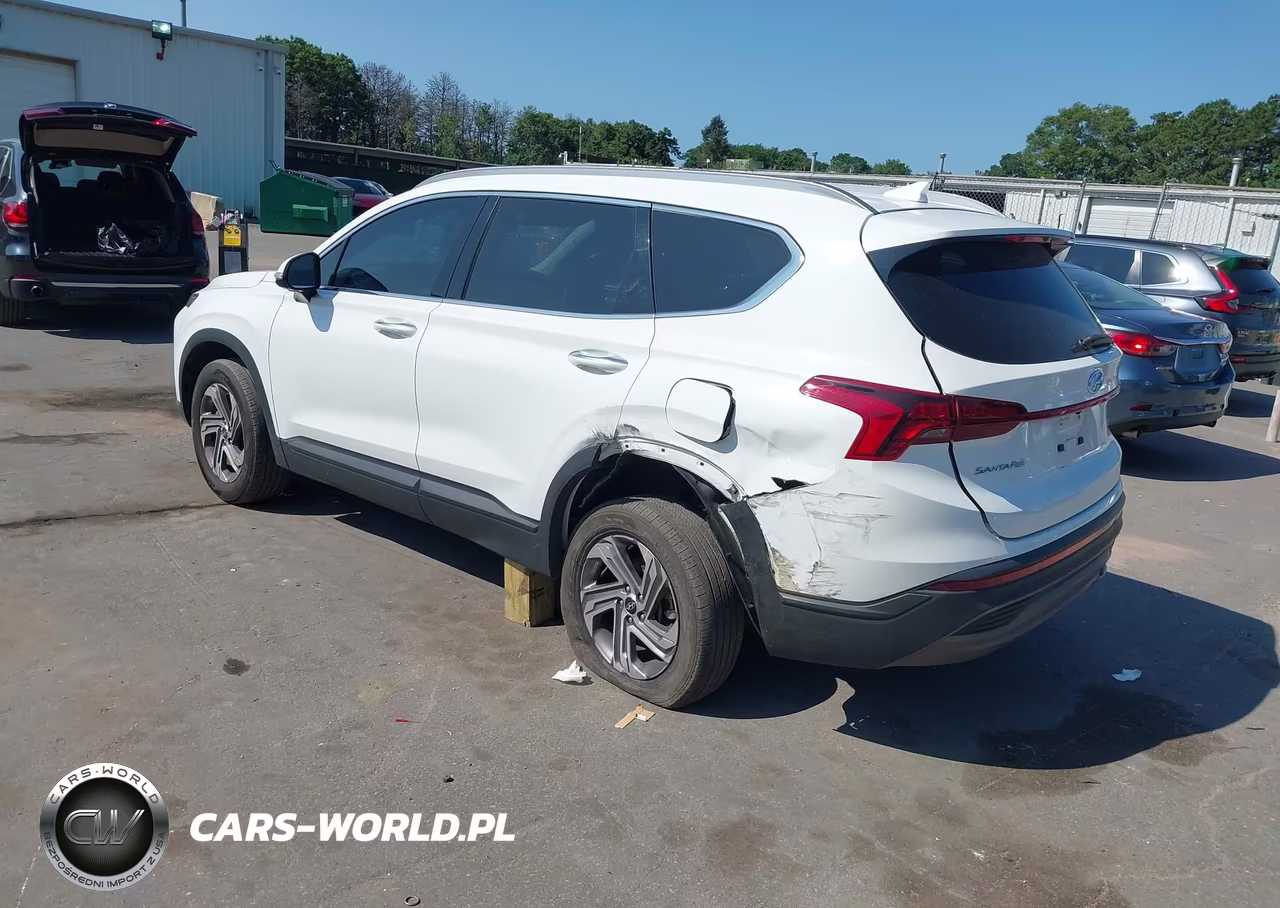 2023 Hyundai Santa Fe Sel VIN:5NMS2DAJ4PH657234 - 3