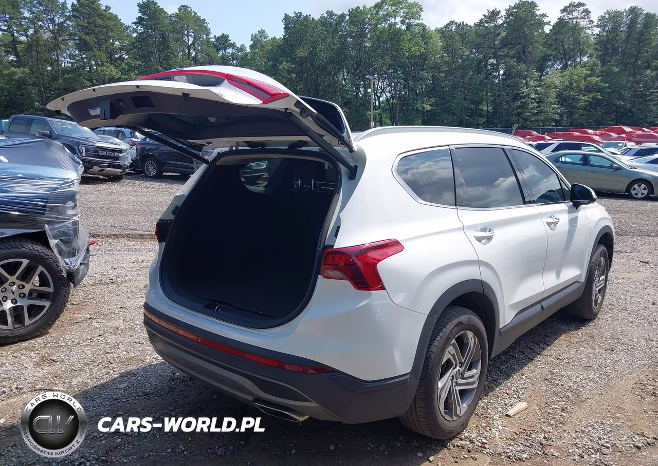 2023 Hyundai Santa Fe Sel VIN:5NMS2DAJ4PH657234 - 4