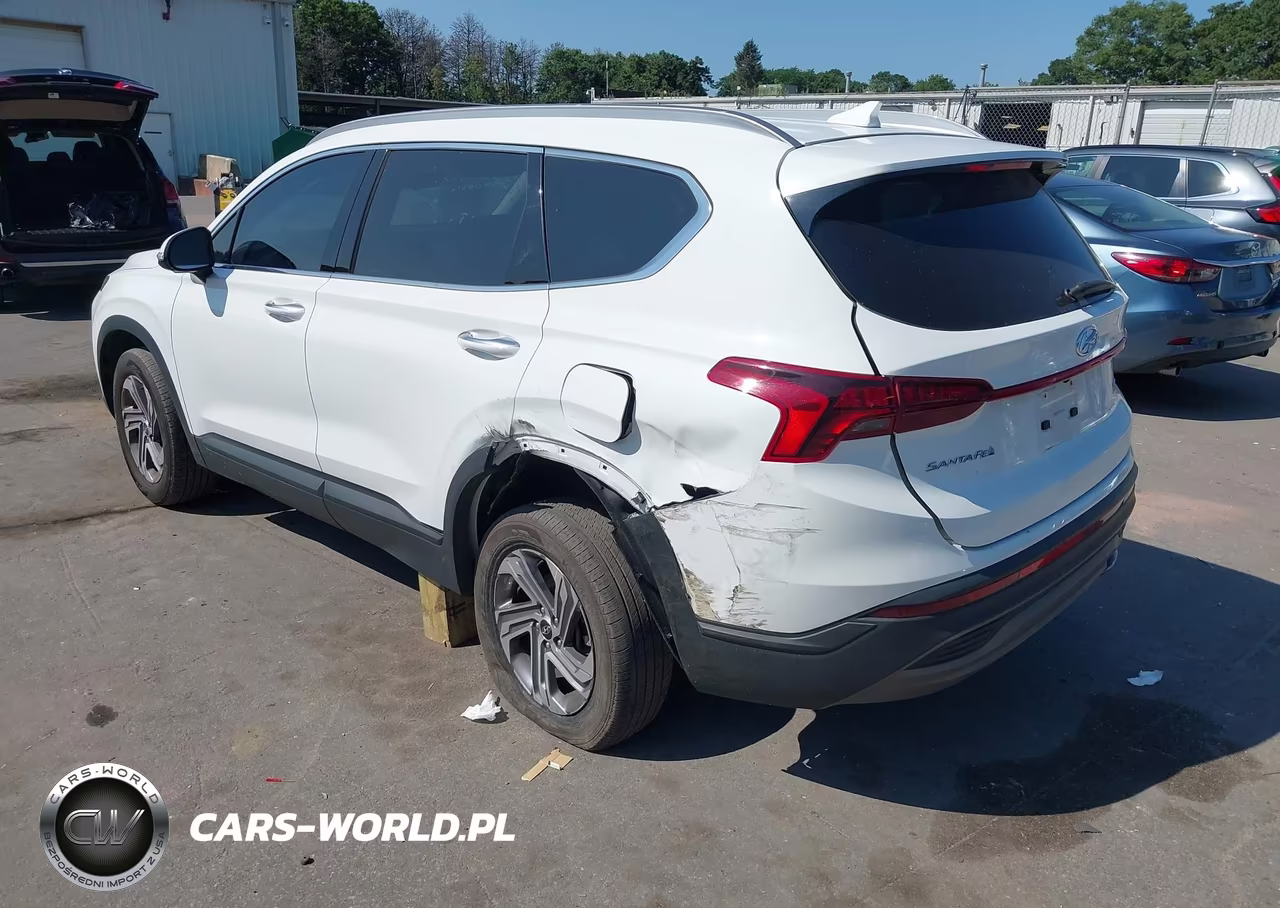 2023 Hyundai Santa Fe Sel VIN:5NMS2DAJ4PH657234 - 6