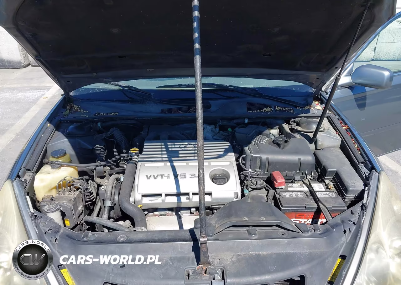 2005 Lexus Es 330 VIN:JTHBA30G055080431 - 10