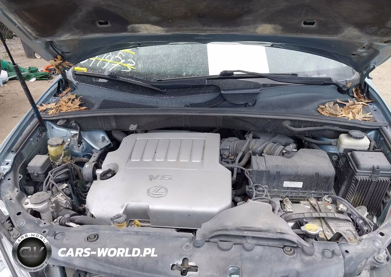 2008 Lexus Rx 350 VIN:2T2GK31U38C041473 - 10