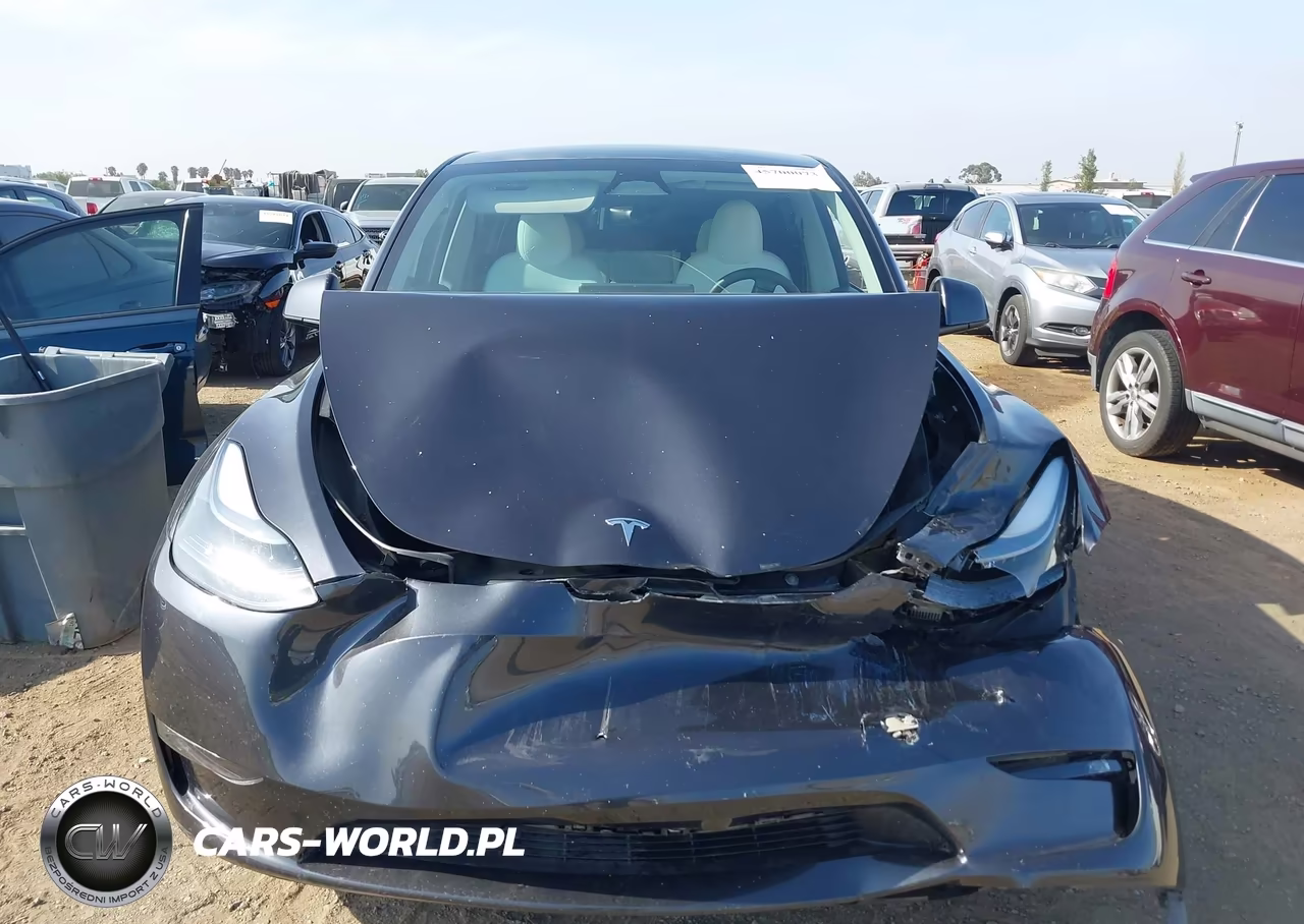 2024 Tesla Model Y Long Range Dual Motor All-Wheel Drive VIN:7SAYGDEE2RF117137 - 13