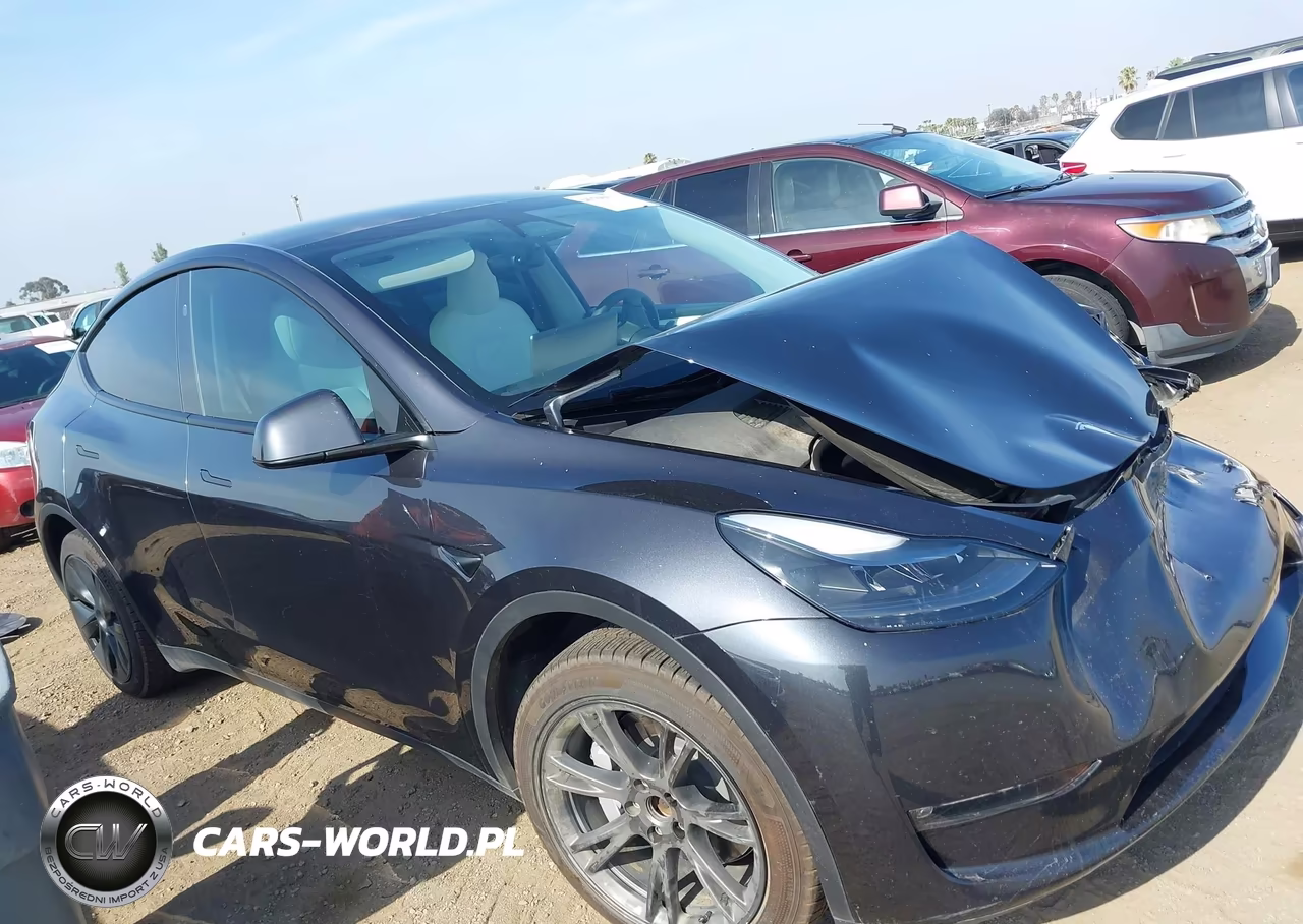 2024 Tesla Model Y Long Range Dual Motor All-Wheel Drive VIN:7SAYGDEE2RF117137 - 14