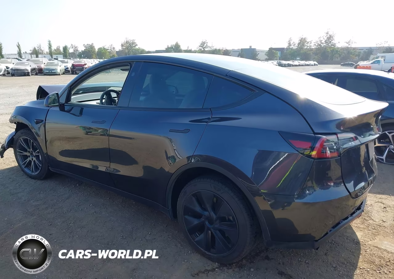 2024 Tesla Model Y Long Range Dual Motor All-Wheel Drive VIN:7SAYGDEE2RF117137 - 3