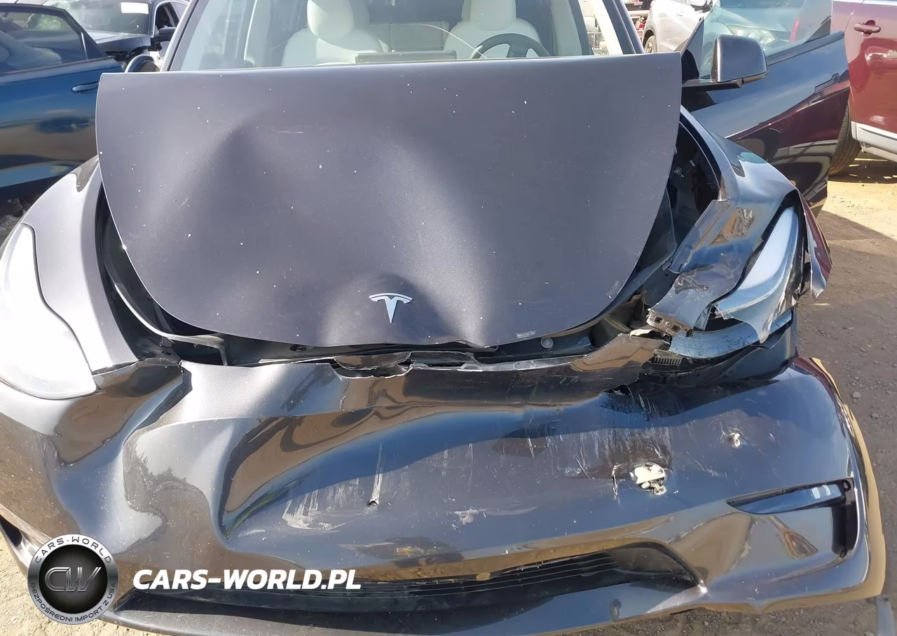 2024 Tesla Model Y Long Range Dual Motor All-Wheel Drive VIN:7SAYGDEE2RF117137 - 6
