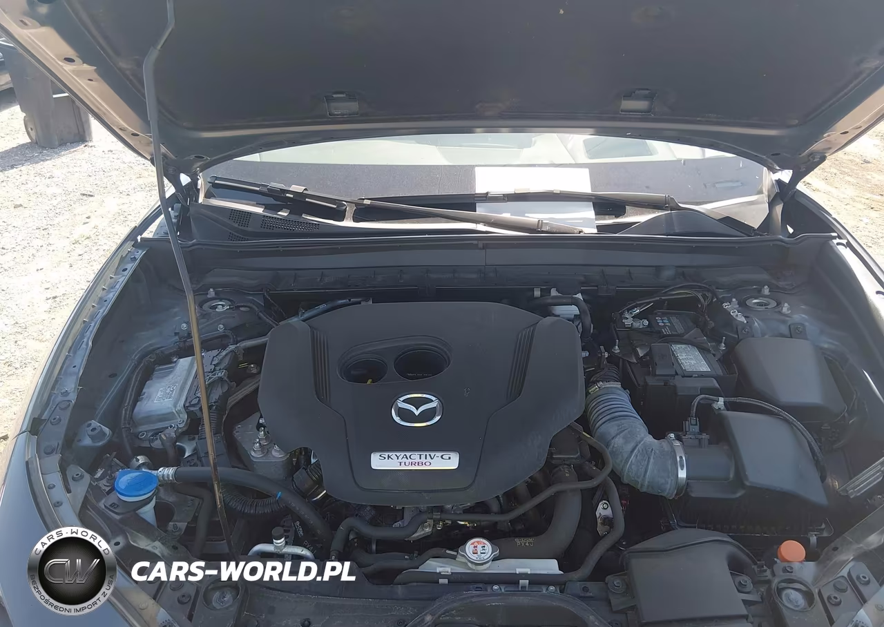 2023 Mazda Cx-30 2.5 Turbo Premium VIN:3MVDMBDY9PM573244 - 10