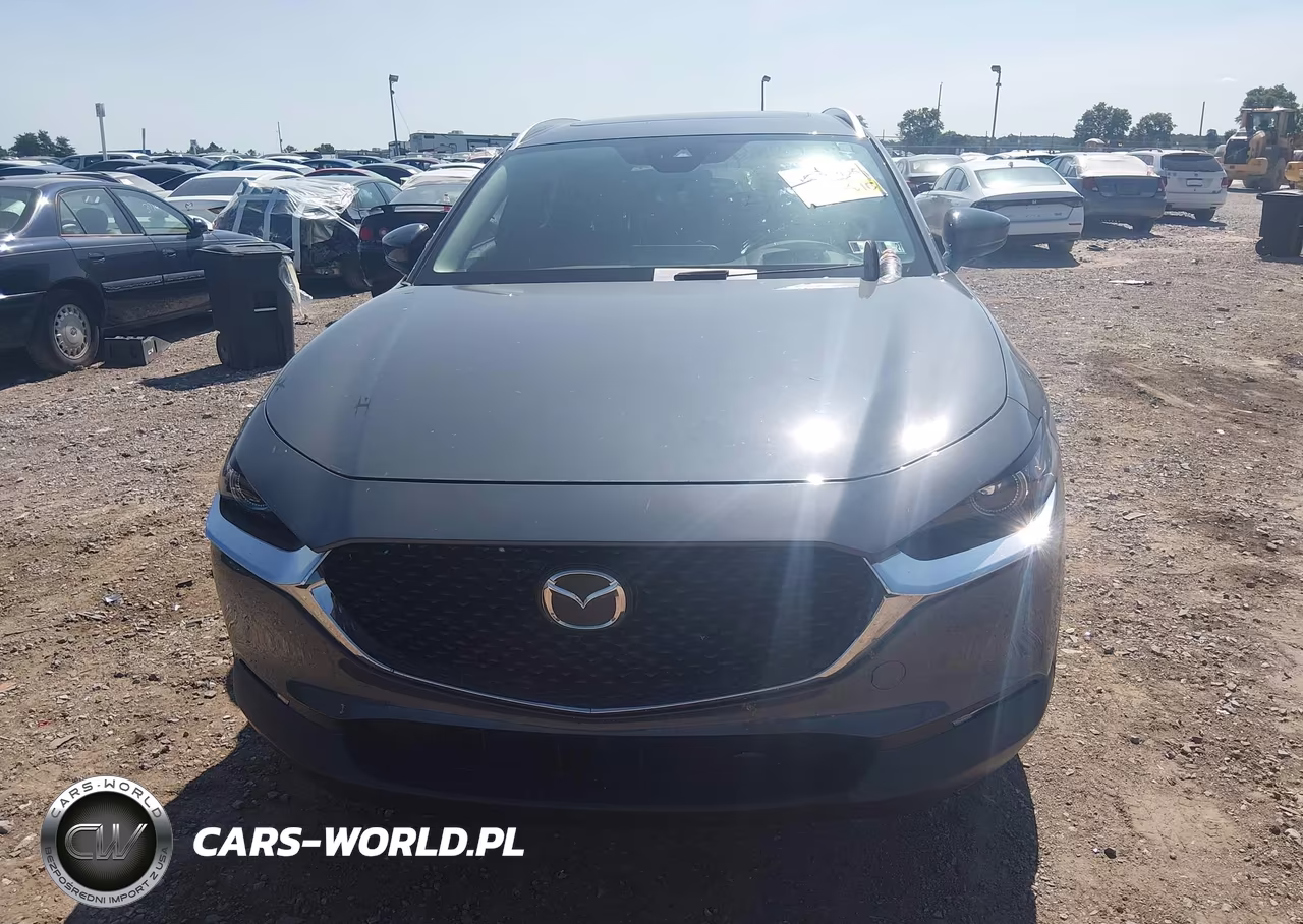 2023 Mazda Cx-30 2.5 Turbo Premium VIN:3MVDMBDY9PM573244 - 12