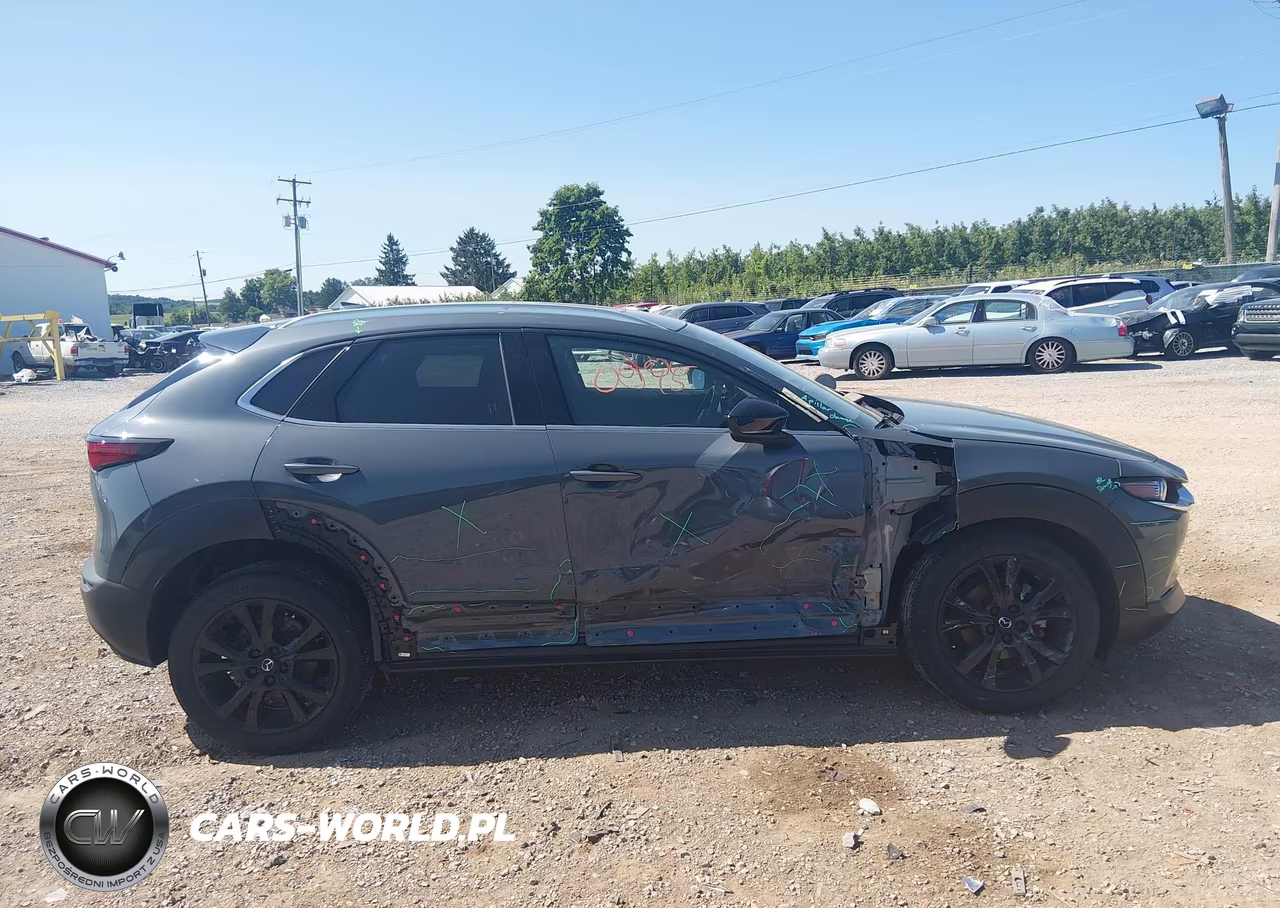 2023 Mazda Cx-30 2.5 Turbo Premium VIN:3MVDMBDY9PM573244 - 13
