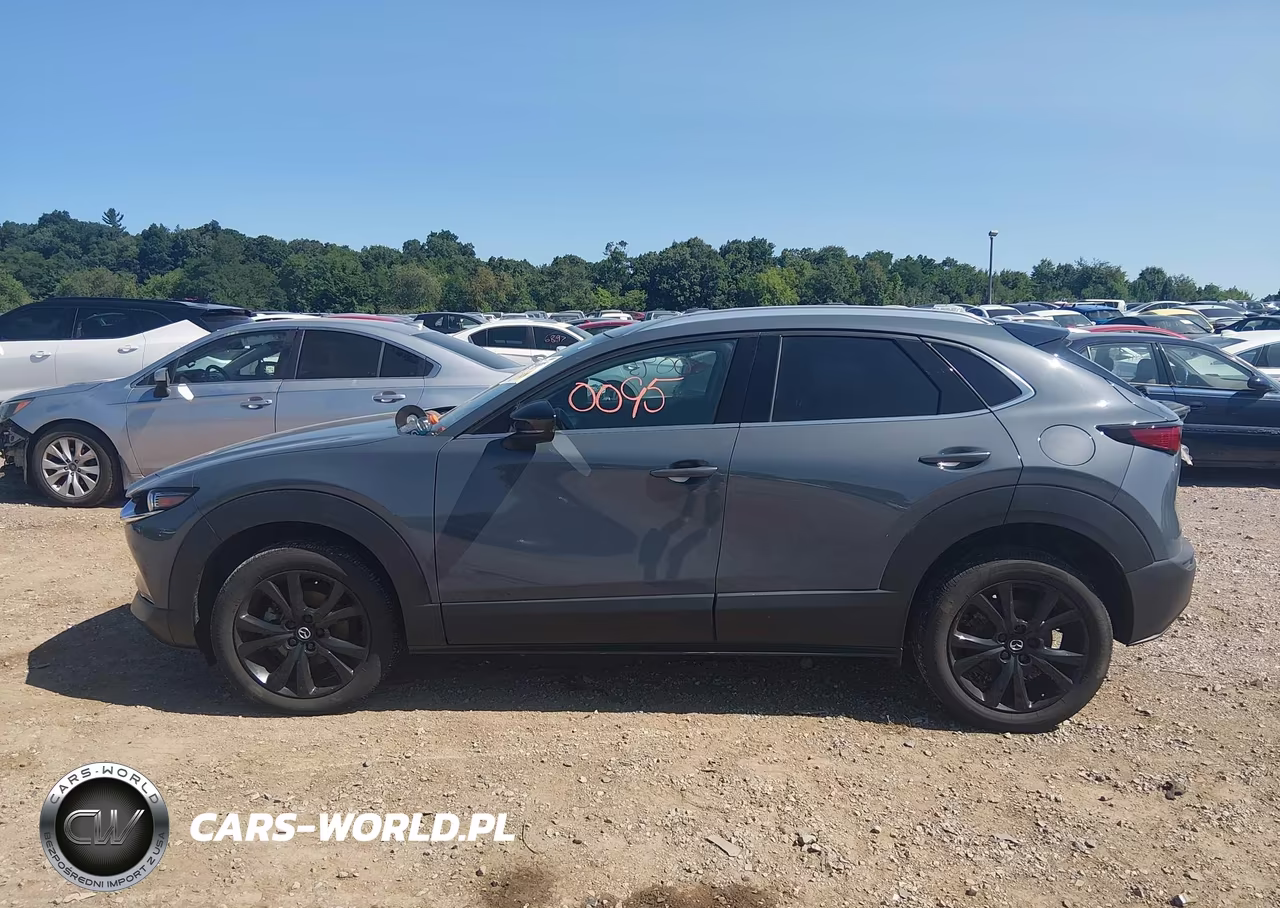 2023 Mazda Cx-30 2.5 Turbo Premium VIN:3MVDMBDY9PM573244 - 14