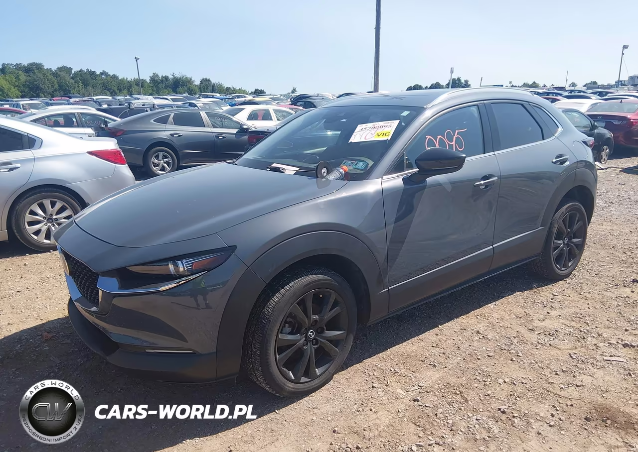 2023 Mazda Cx-30 2.5 Turbo Premium VIN:3MVDMBDY9PM573244 - 2