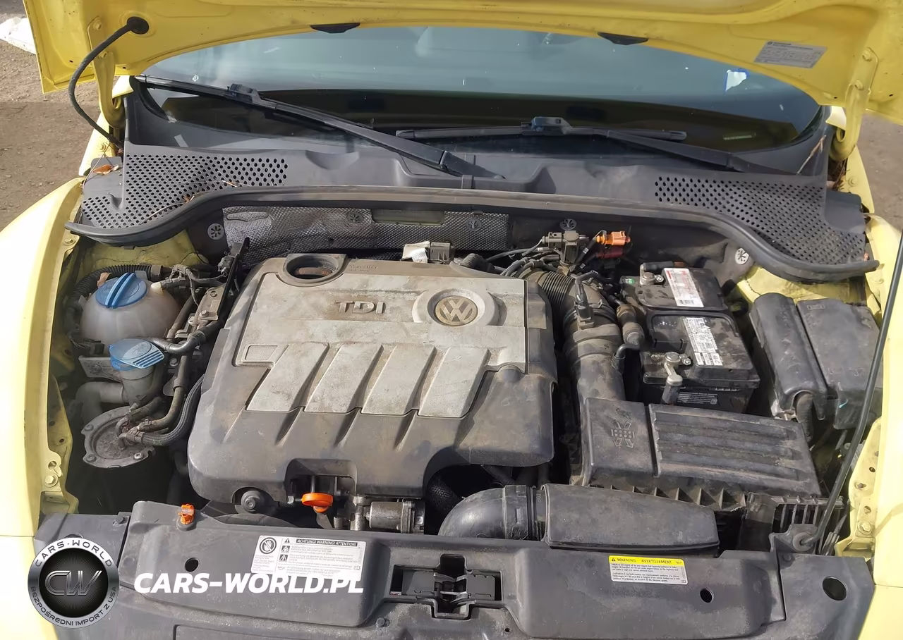 2013 Volkswagen Beetle 2.0L Tdi VIN:3VWJL7AT4DM683608 - 10