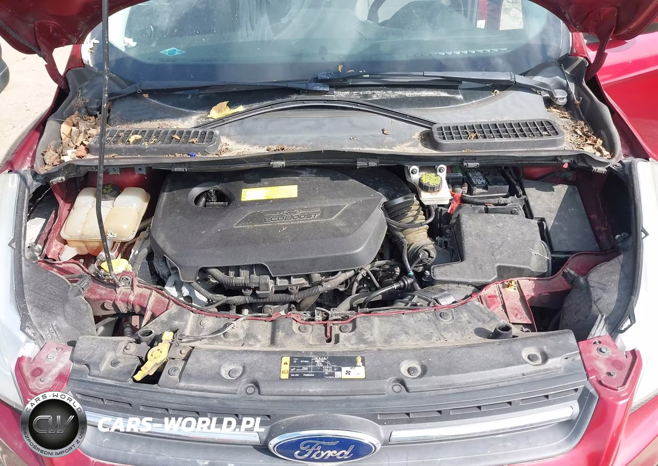 2016 Ford Escape Se VIN:1FMCU0GX9GUC01320 - 10