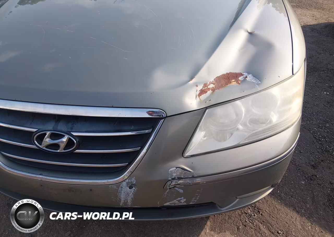 2009 Hyundai Sonata Limited V6 VIN:5NPEU46F19H432965 - 6