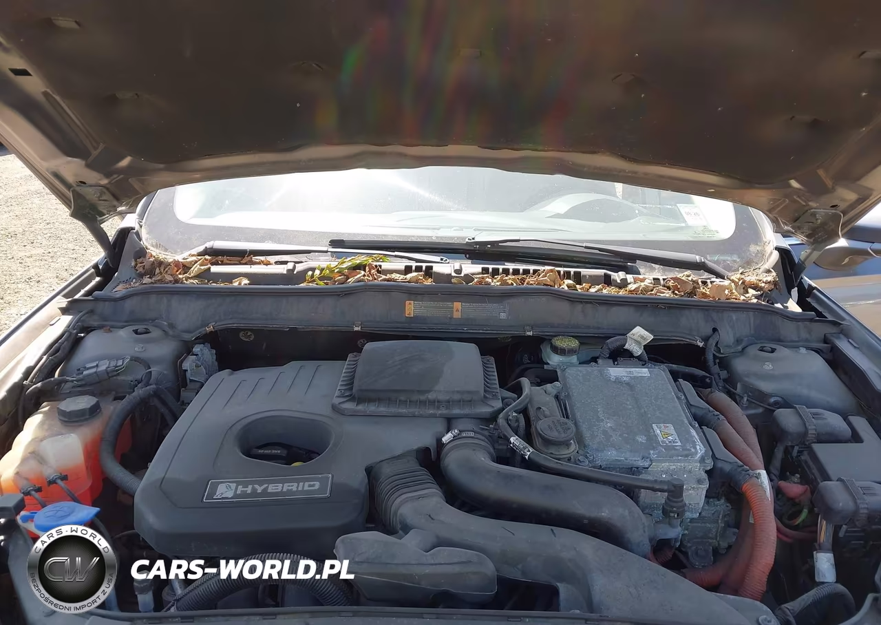 2014 Ford Fusion Hybrid Se VIN:3FA6P0LU7ER153928 - 10