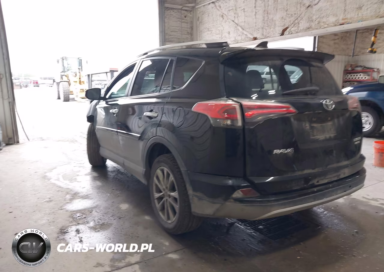 2016 Toyota Rav4 Limited VIN:2T3DFREV8GW465530 - 3