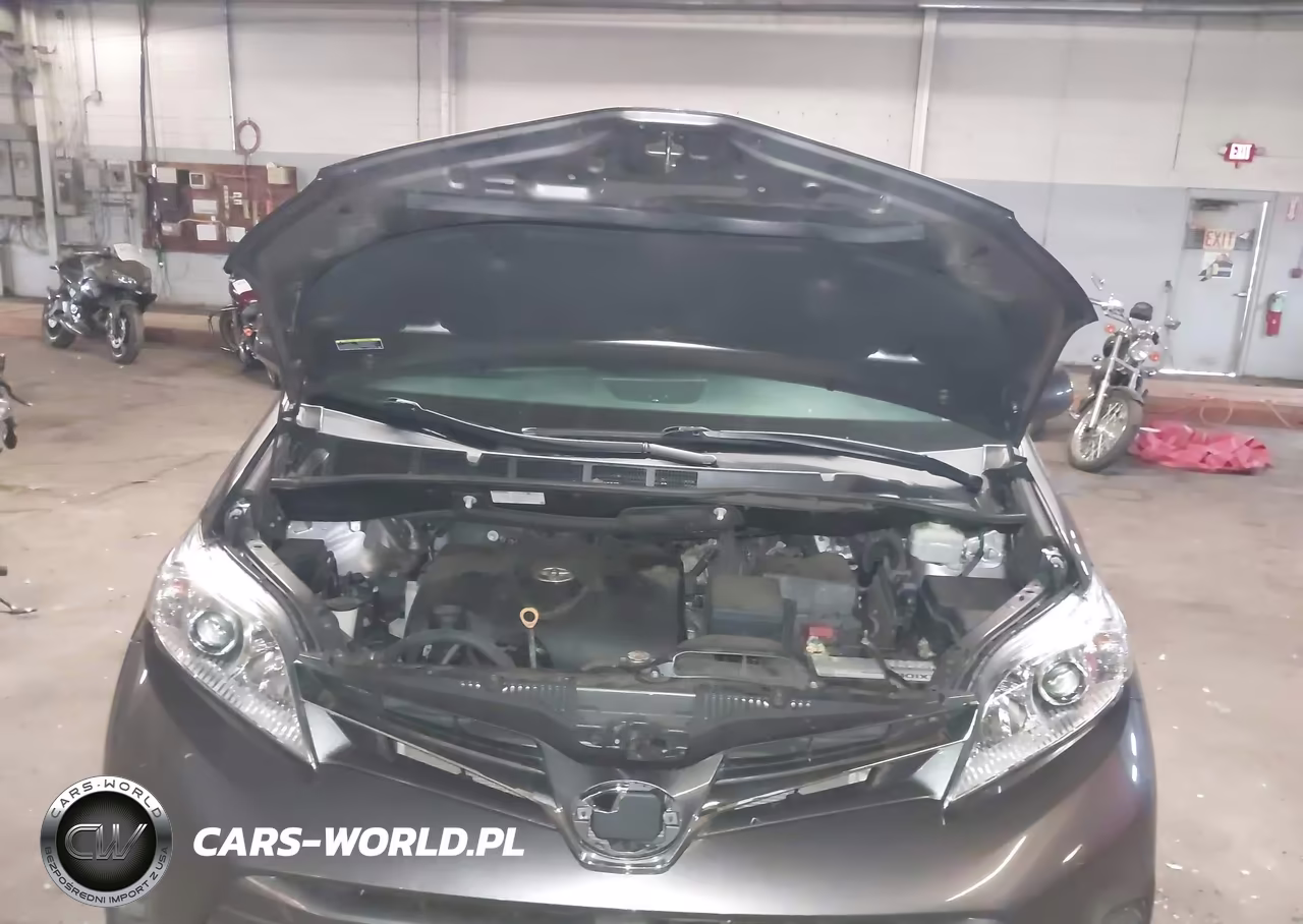 2020 Toyota Sienna Xle VIN:5TDYZ3DC8LS088005 - 10