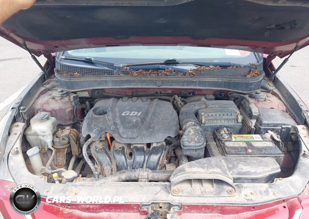 2011 Hyundai Sonata Gls VIN:5NPEB4AC4BH294993 - 10