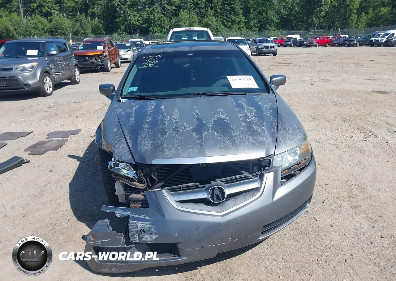 2004 Acura Tl VIN:19UUA65534A052746 - 13