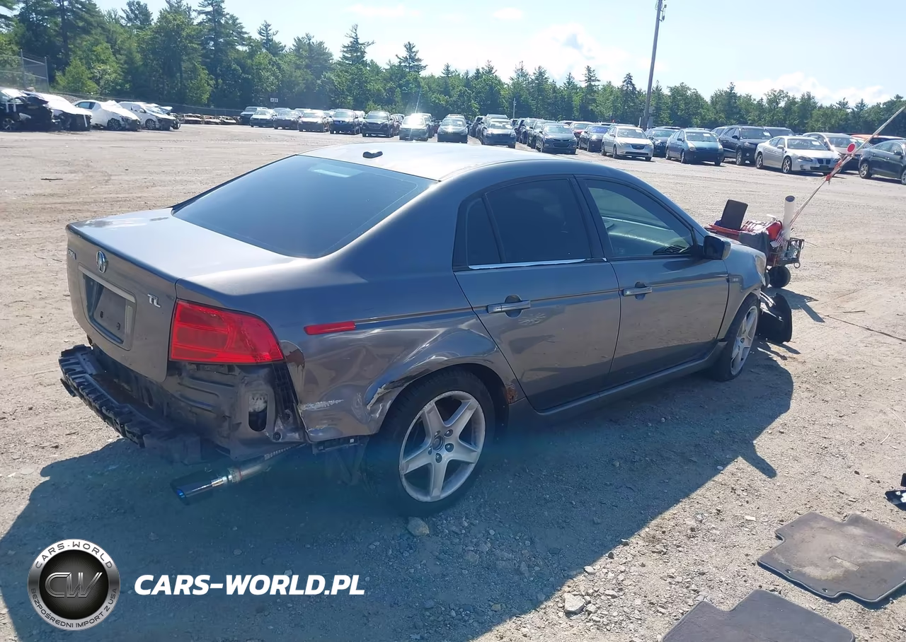 2004 Acura Tl VIN:19UUA65534A052746 - 4
