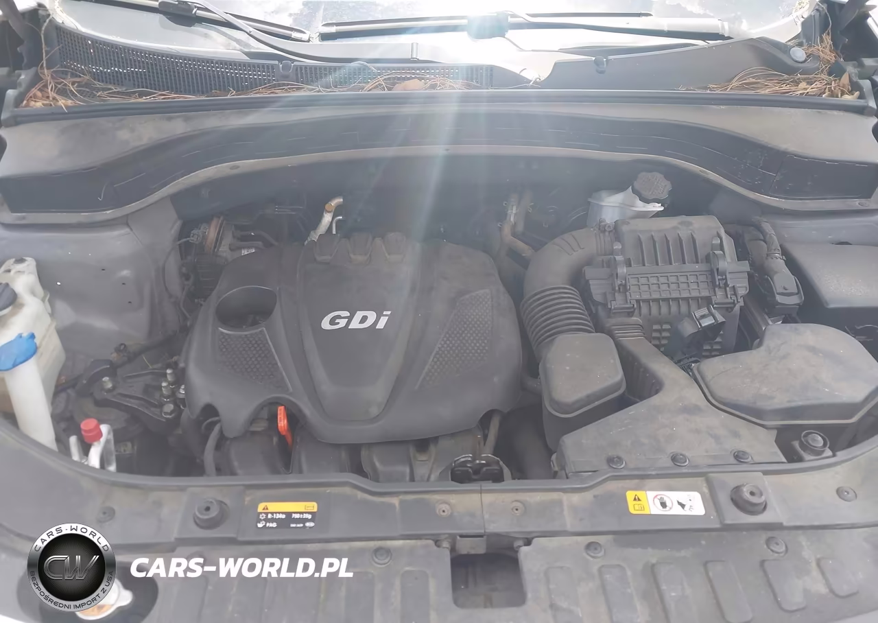 2014 Kia Sorento Lx VIN:5XYKT4A68EG500208 - 10