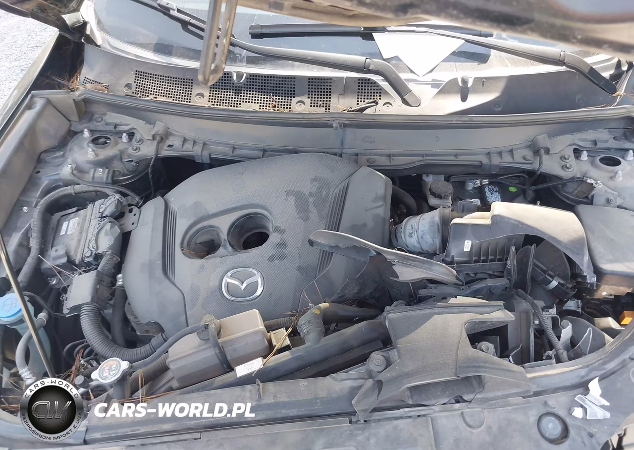 2020 Mazda Cx-9 Touring VIN:JM3TCACY1L0424567 - 10