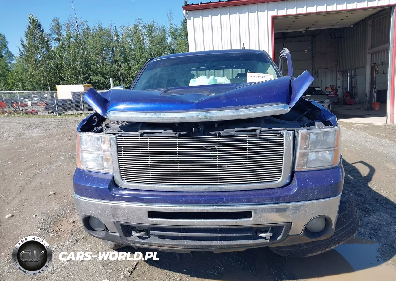2010 GMC Sierra 1500 Sle VIN:3GTRKVE39AG227167 - 12