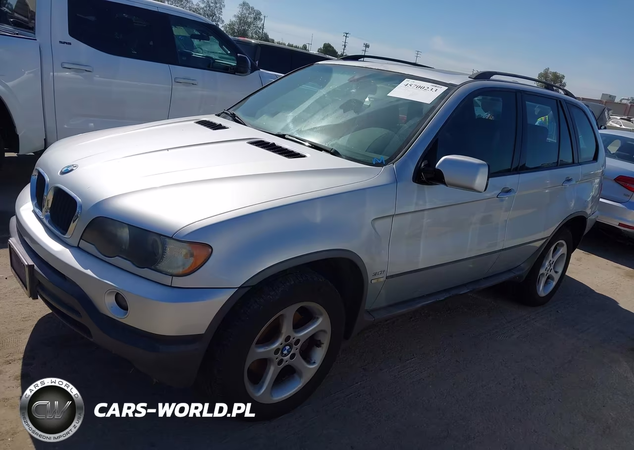 2002 BMW X5 3.0I VIN:5UXFA53582LP48930 - 2