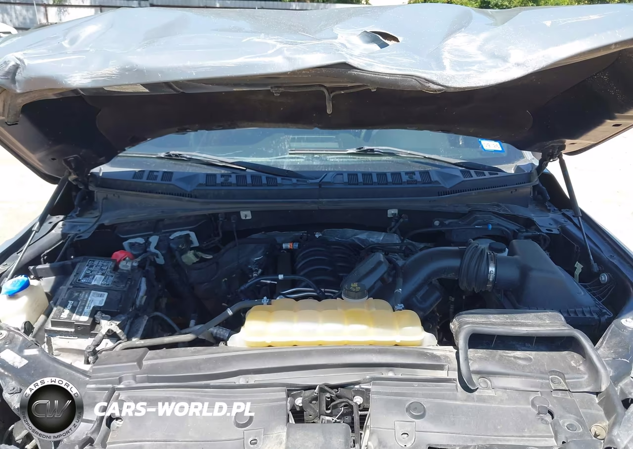 2019 Ford F-150 Xlt VIN:1FTEW1E54KFA07208 - 10